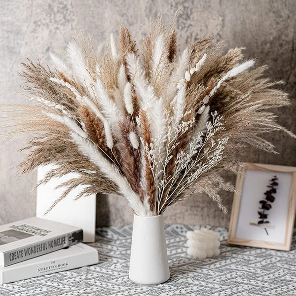 Cream Pampas Grass