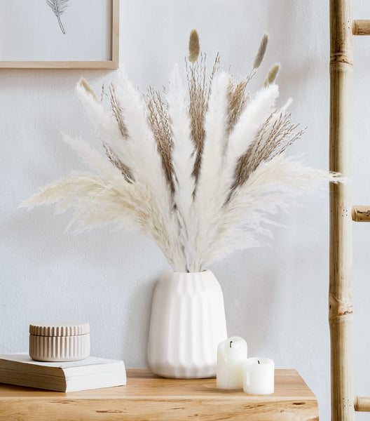 Cream Pampas Grass