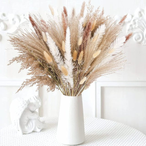 Cream Pampas Grass