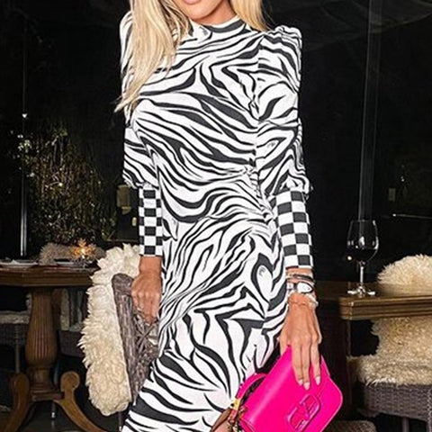 Zebra Print Long Dress - ElaCo